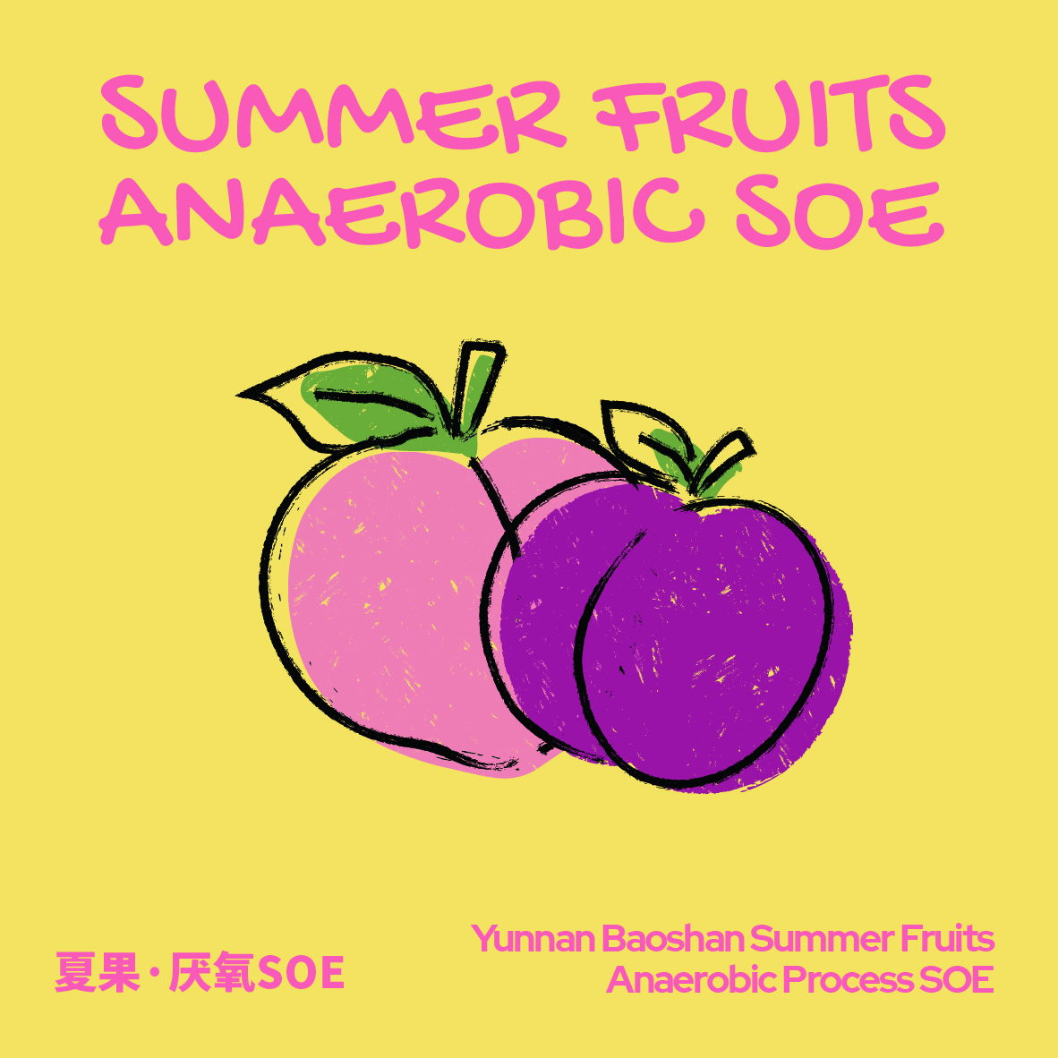 夏果·厭氧SOE（100g）