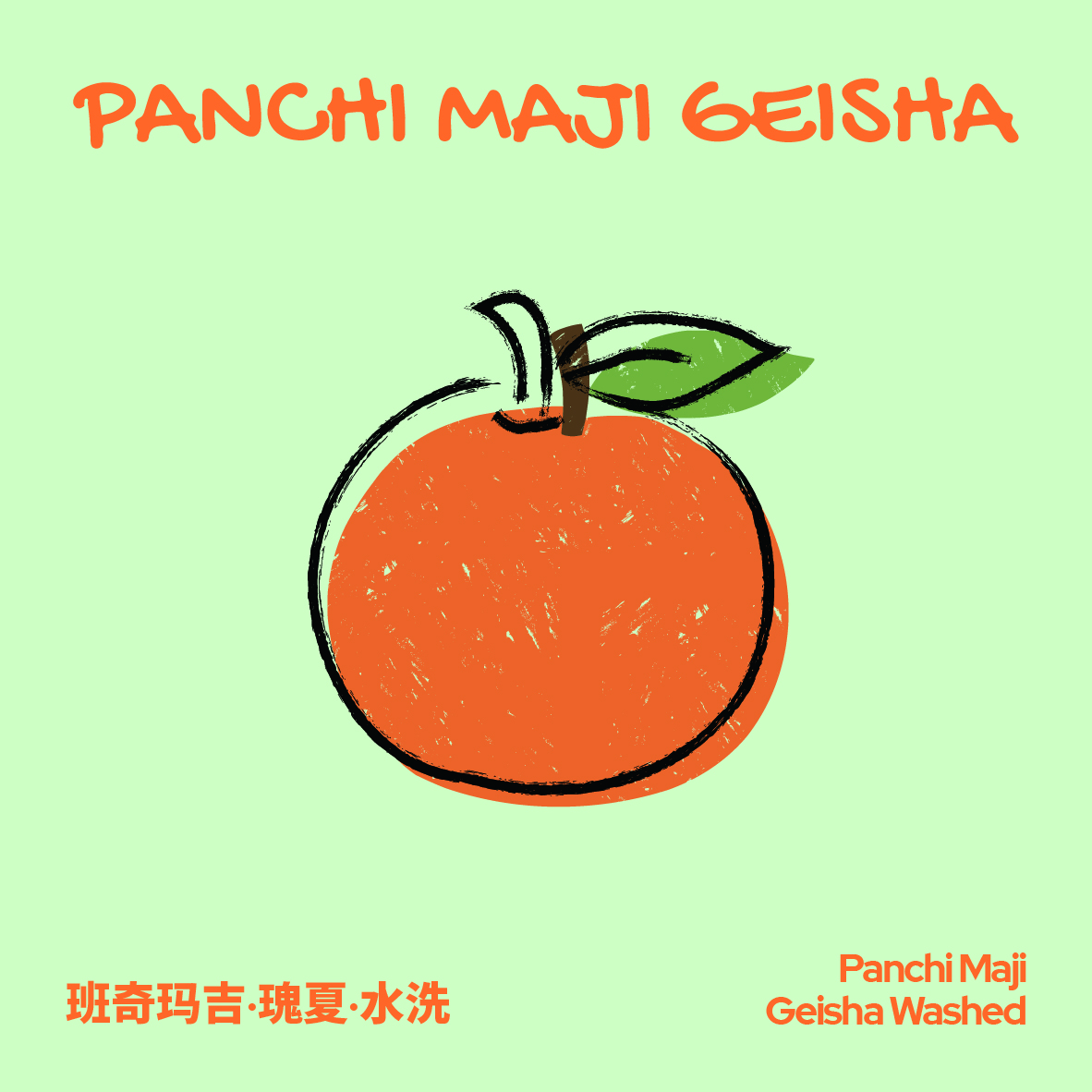 班奇玛吉·瑰夏·水洗（100g）