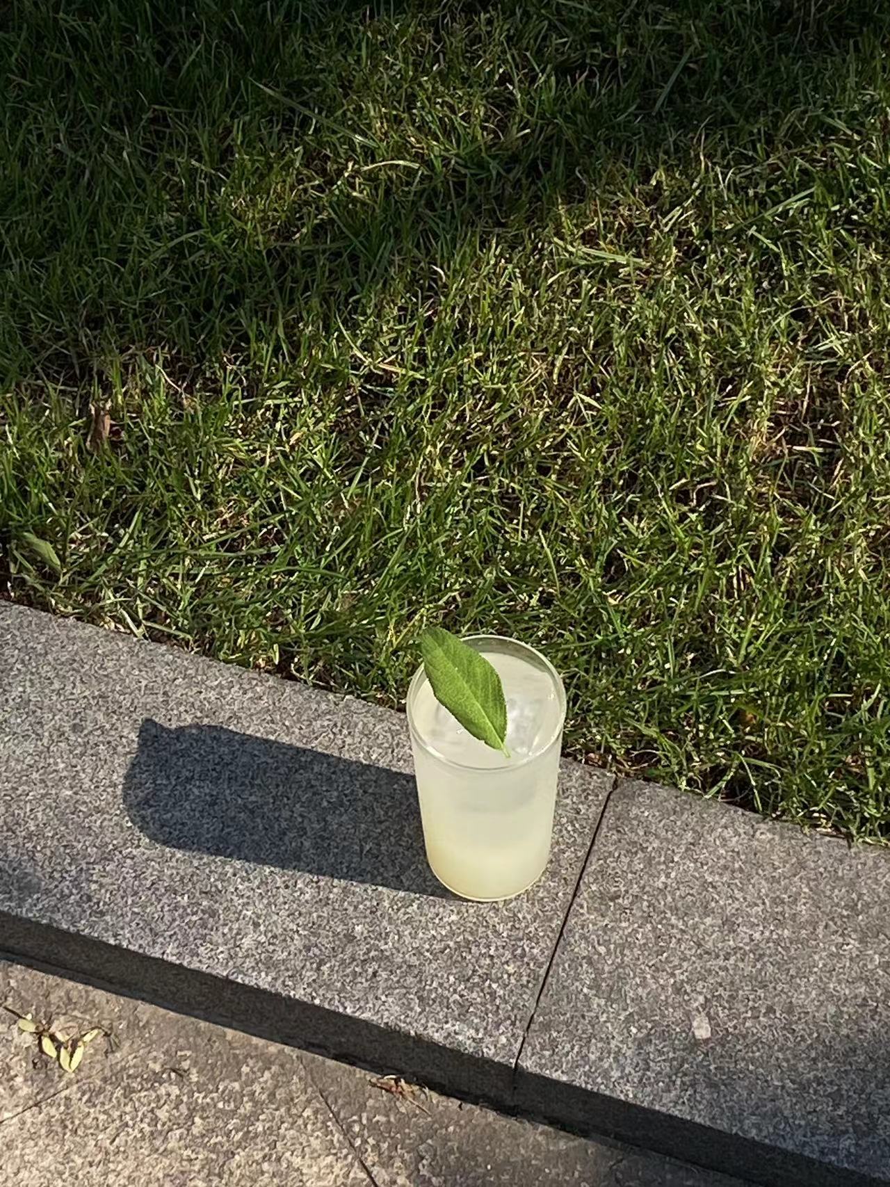 柚子氣泡水