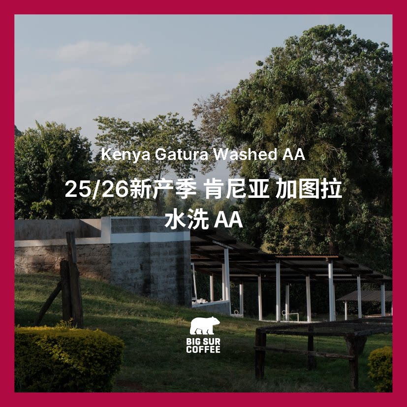 肯尼亚 水洗 加图拉