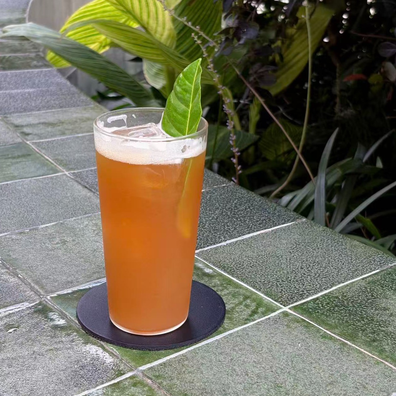 康普茶特调