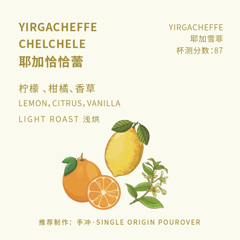 埃塞 耶加 单品