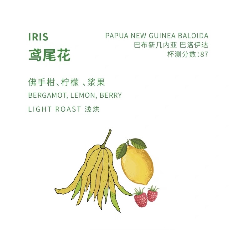 鸢尾花 单品