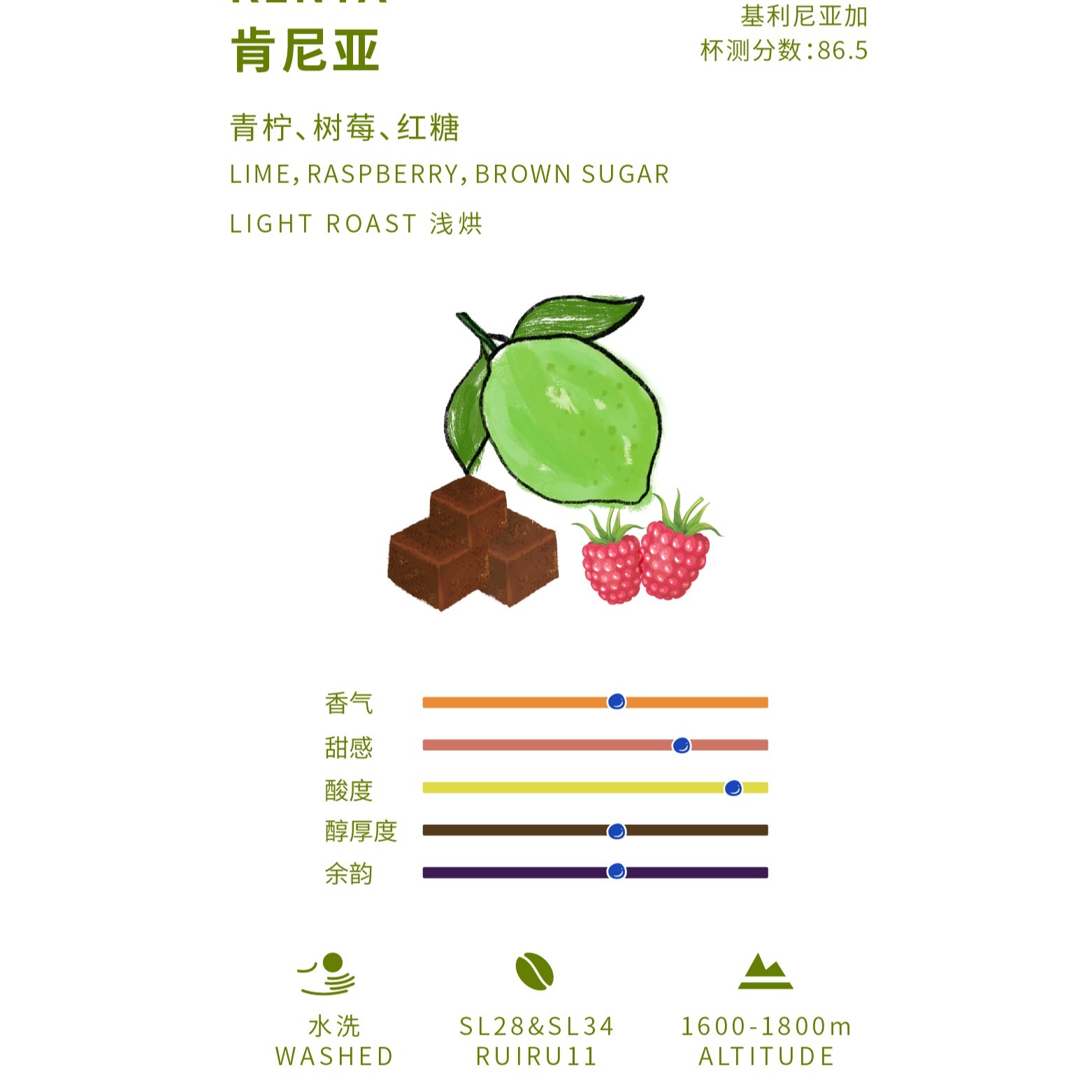 肯尼亚 水洗 单品