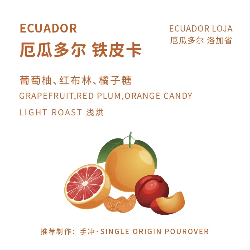 厄瓜多尔 铁皮卡 手冲
