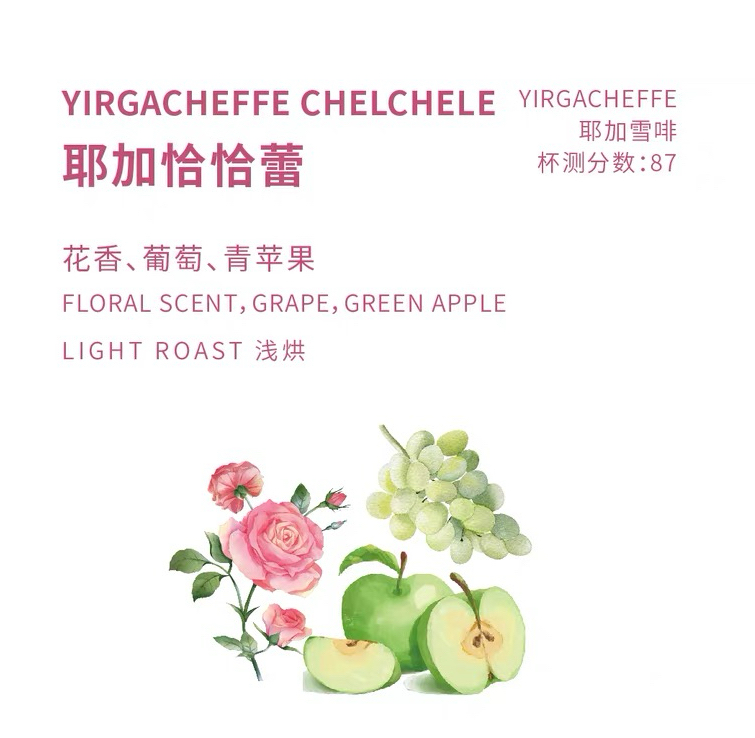 耶加恰恰蕾 單品