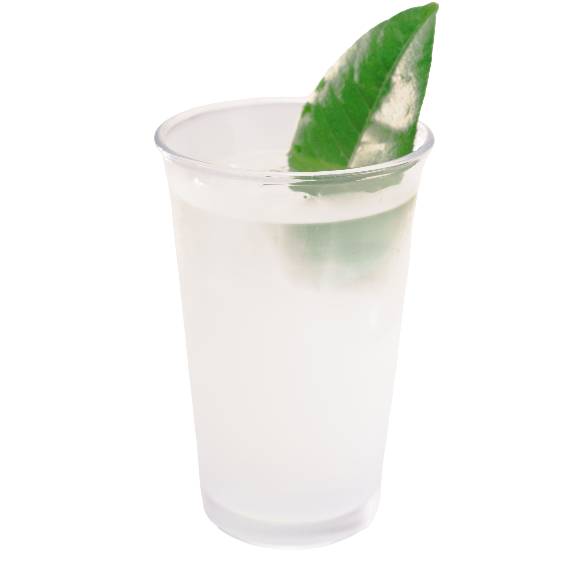 椰皇水